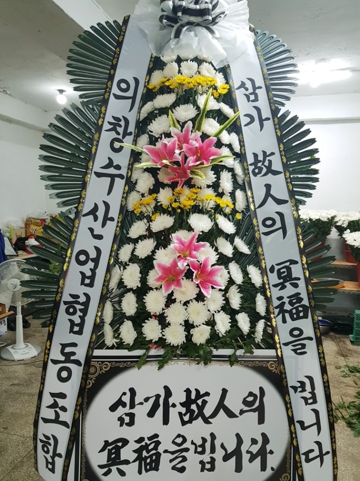뺴ʽ....