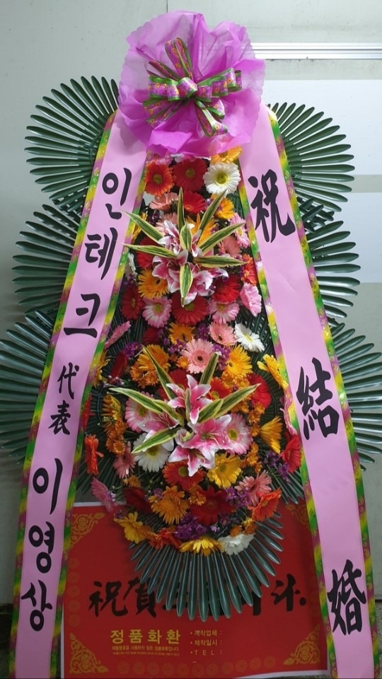 뱸ŸȦ...