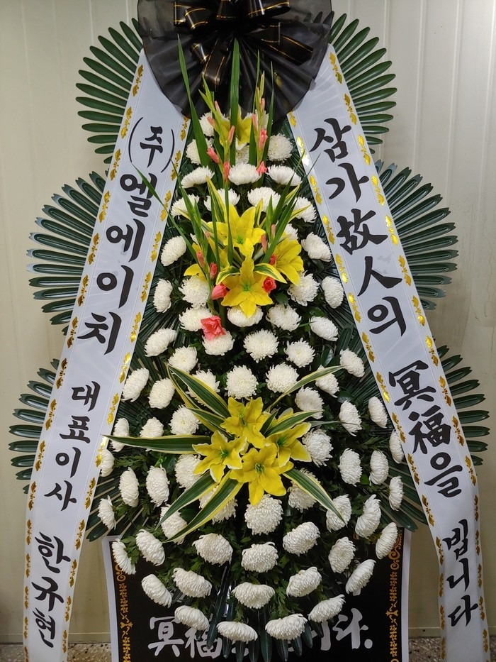 뱸 뱸Ƿȭʽ....