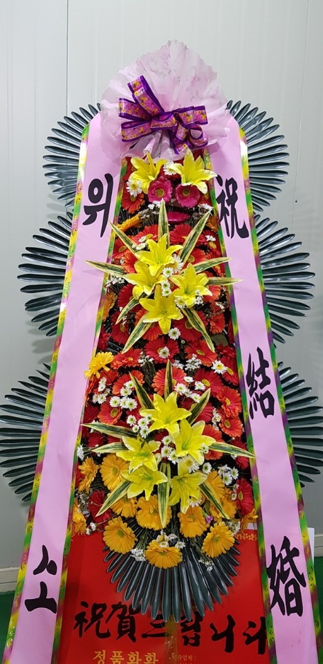 뱸 ǿȦ...