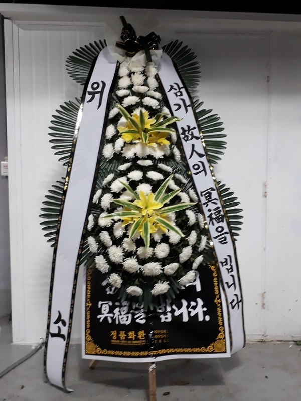 뱸뺴ʽ....