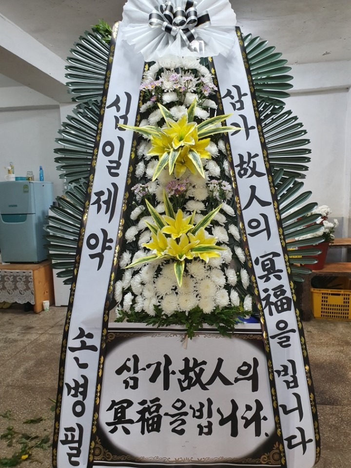 뺴ʽ....