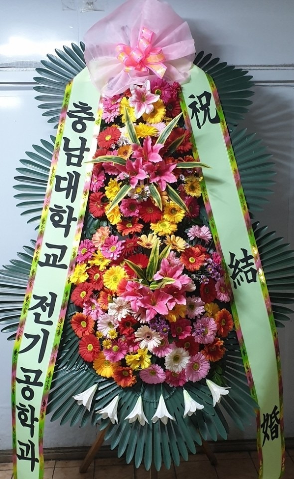  ƼϿ콺...