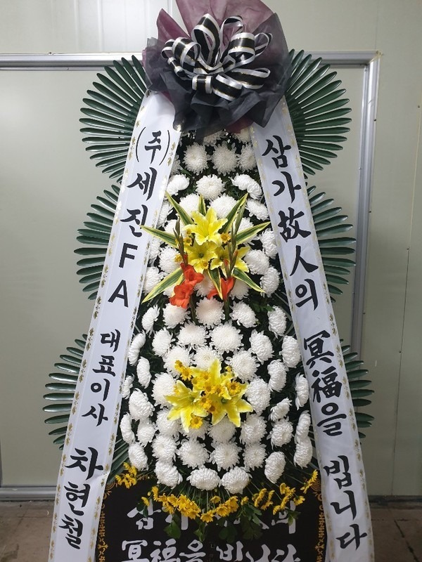 뱸 Ϻʽ...
