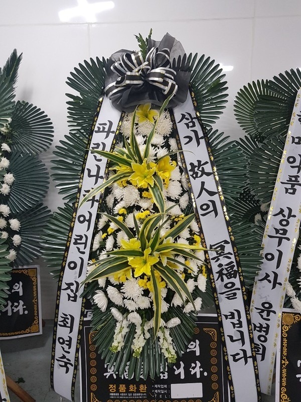 뱸뺴ʽ....
