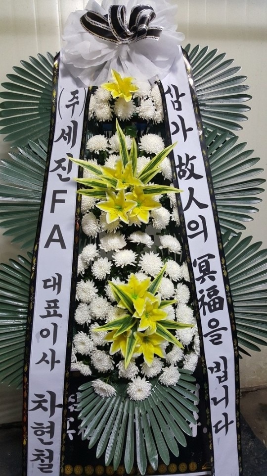 뱸Ƽʽ...