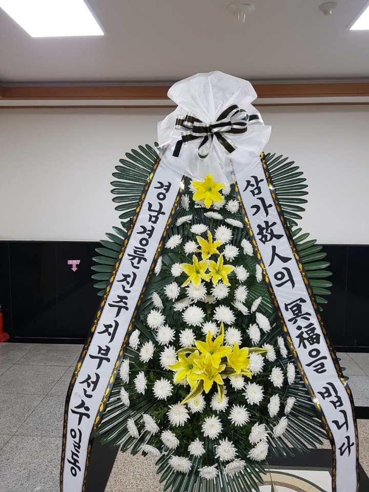 뿵ʽ...