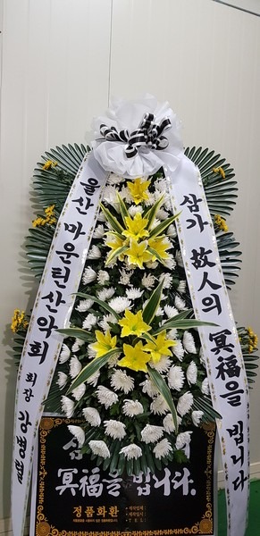 뱸 ȭʽ...