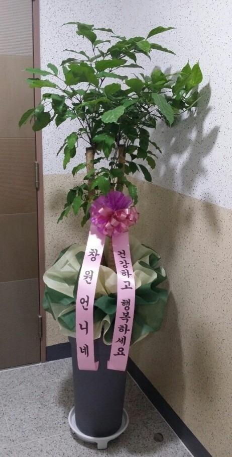 뱸 ̴...