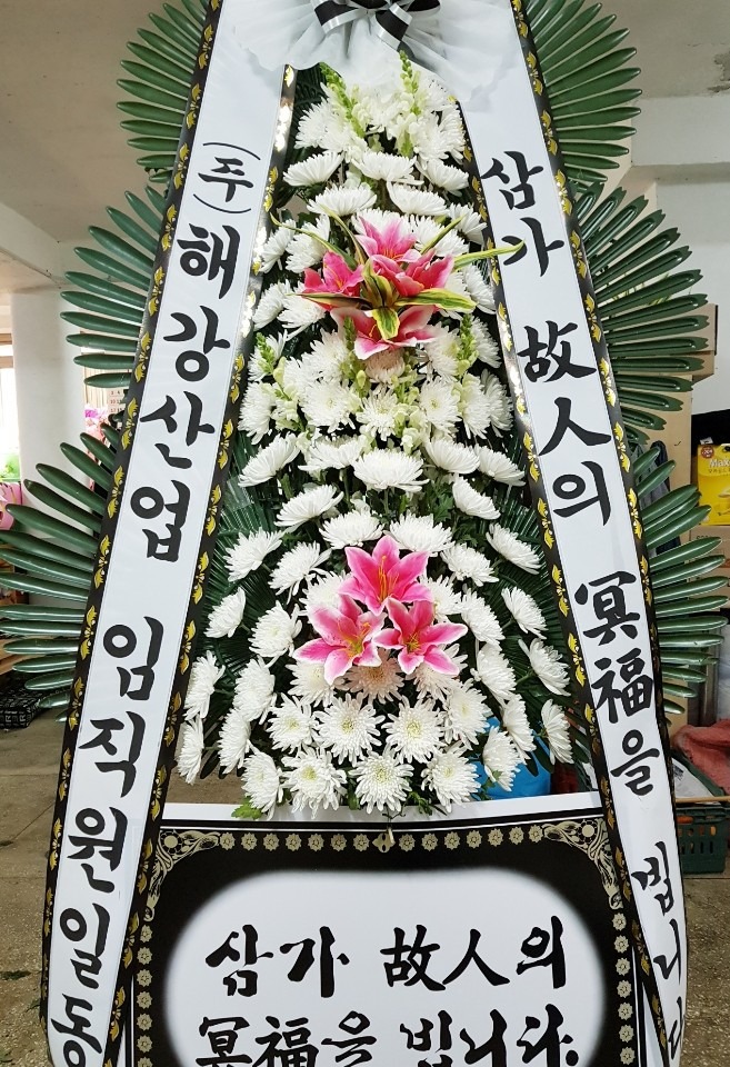 뺴ʽ...