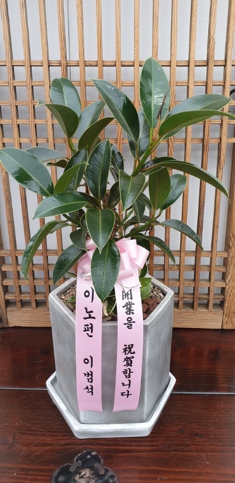 ϱ ÷븮...
