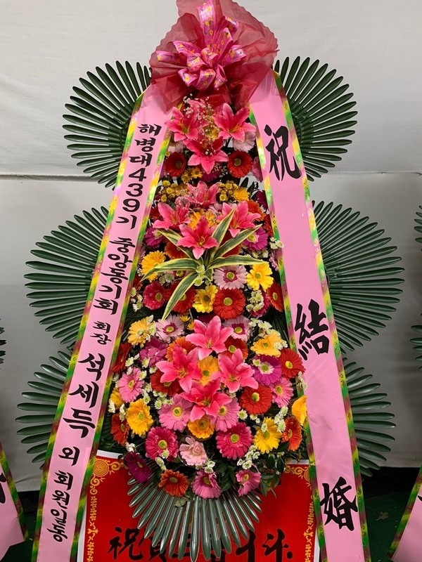 뱸 ŴȣڿȦ...