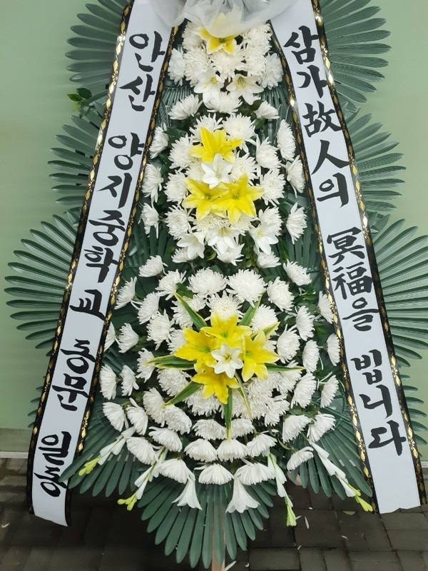 Ȼ 뺴ʽ...