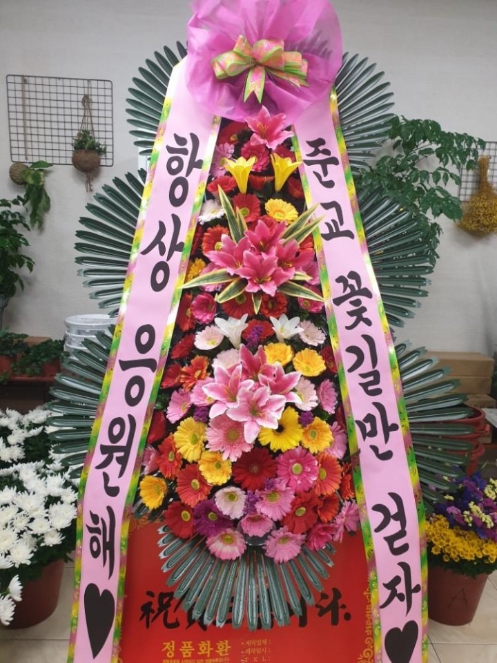 뱸 ...