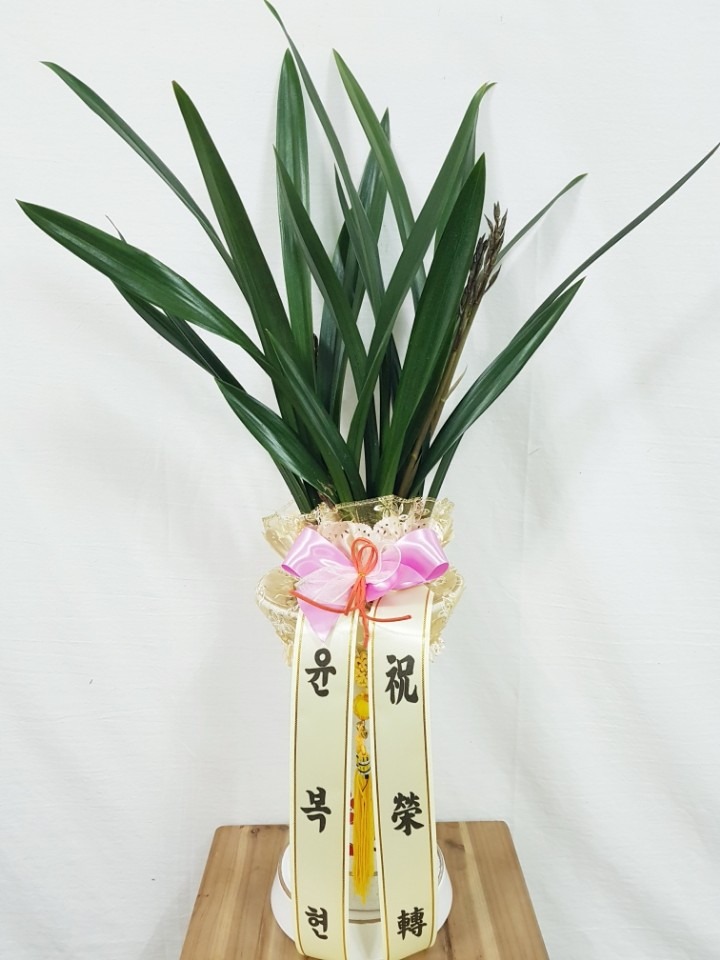 泲û...
