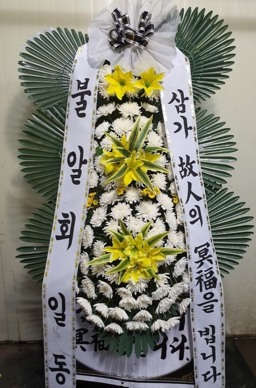 뱸Ƹ޵𺴿ʽ...