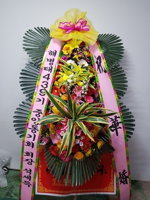뱸 ǼŸȦ...