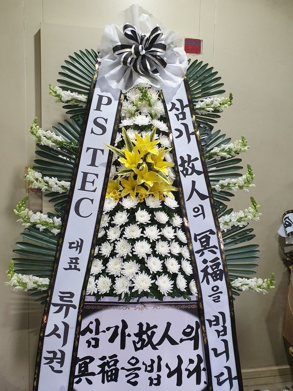 â籺 泲纴ʽ...