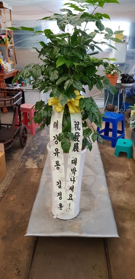  ݿȭ丮...