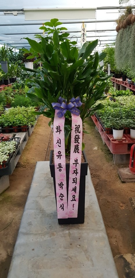  ݿȭ丮...