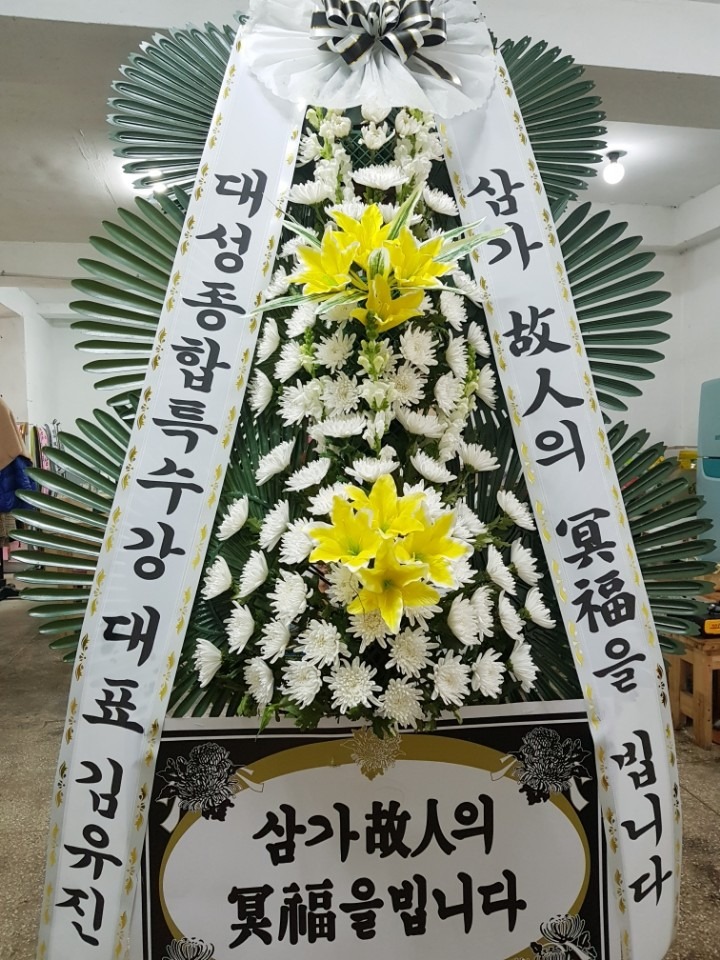 â 뺴ʽ...