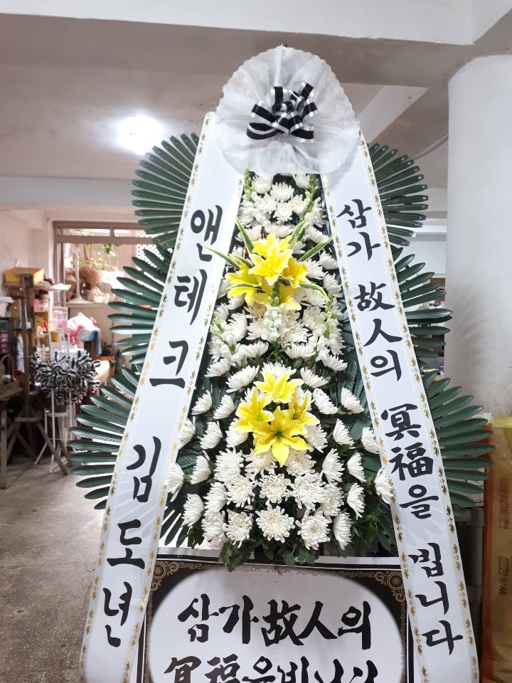 뺴ʽ...