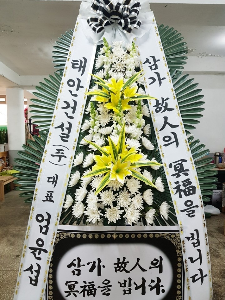 뺴ʽ...