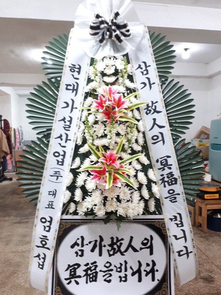 â 뺴ʽ...