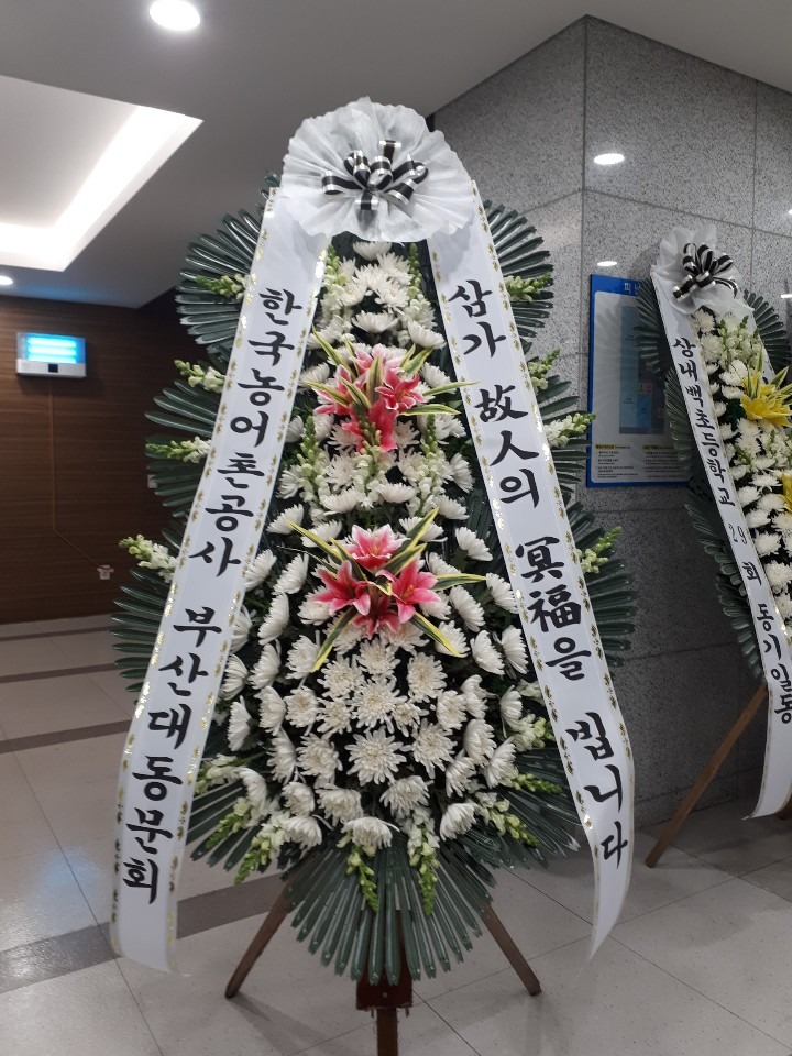 â 뺴ʽ...