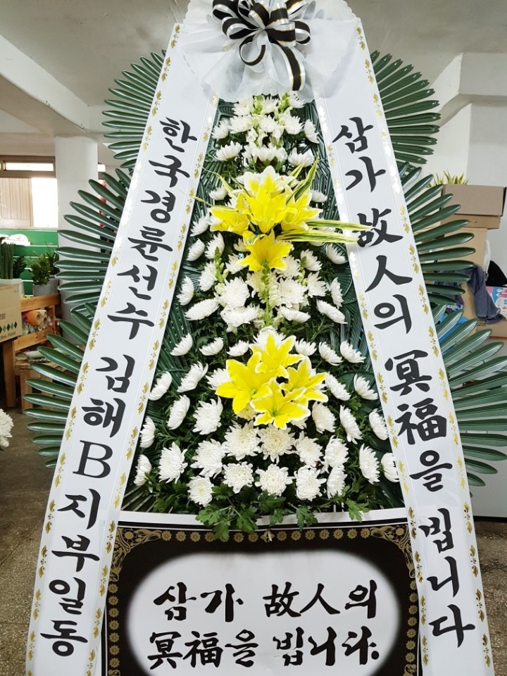 â뺴ʽ...
