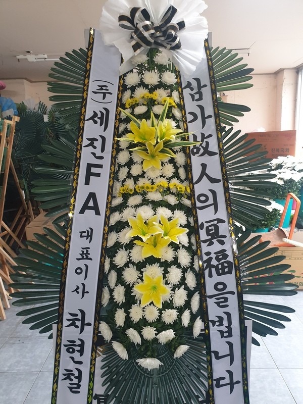  뺴ʽ...