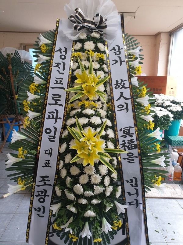  뺴ʽ...