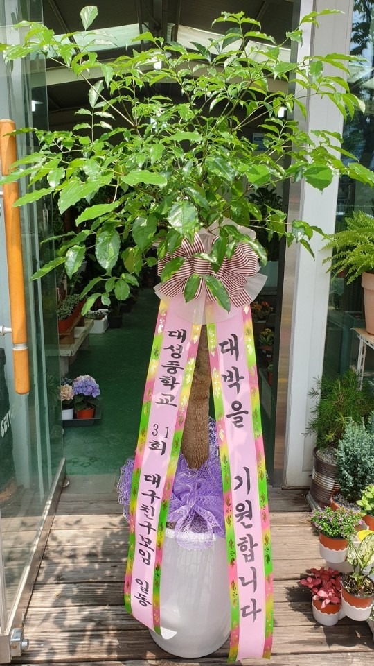 뱸 Ƹٻ߷...