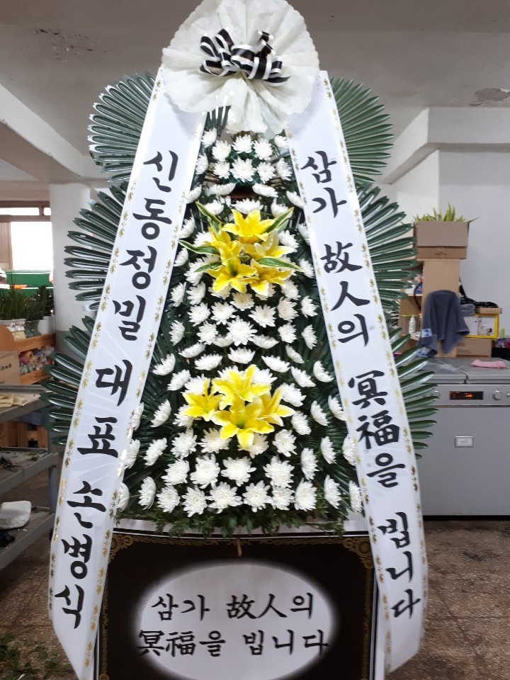 â 뺴ʽ...