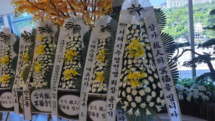 â 뺴ʽ...