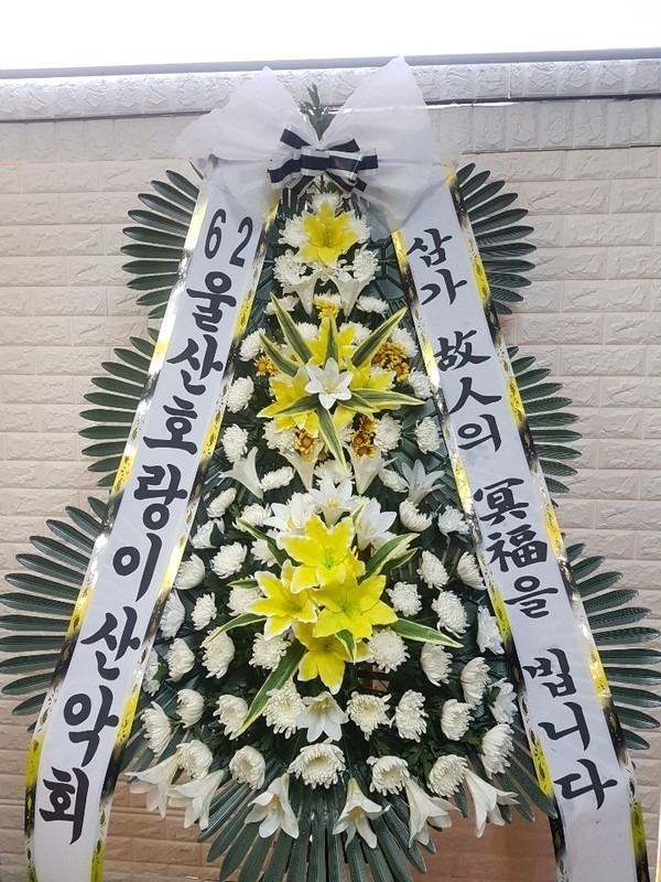 뱸 ȭʽ...