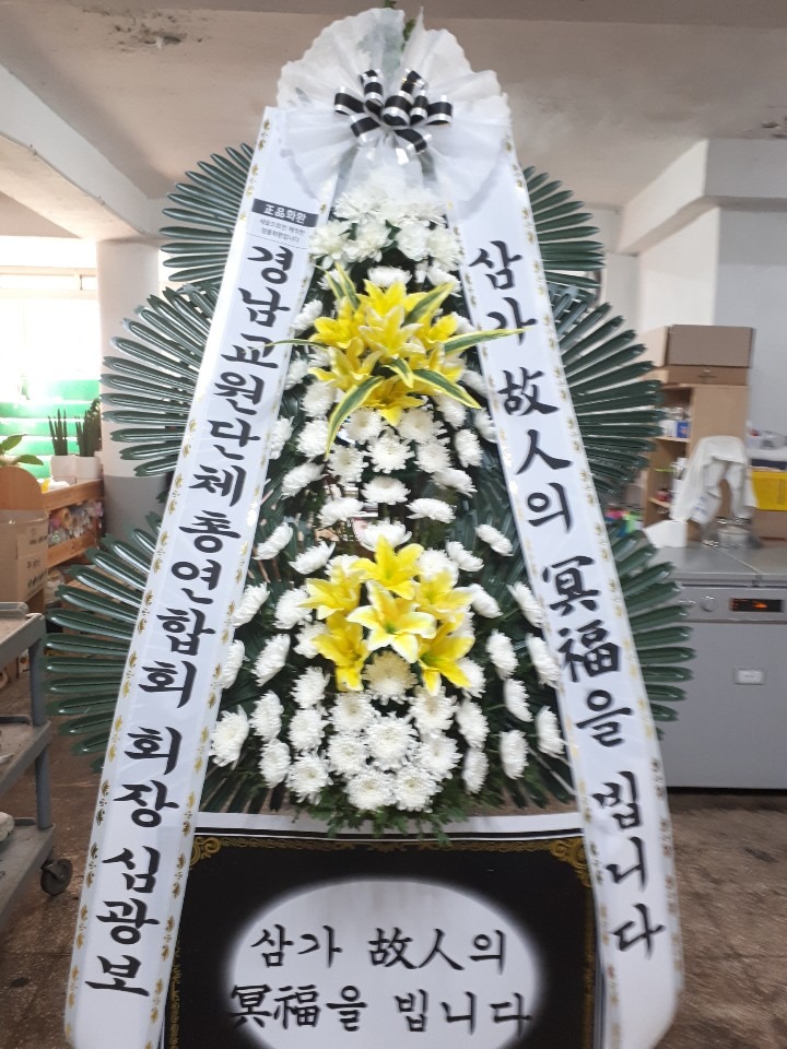 â 뺴ʽ...