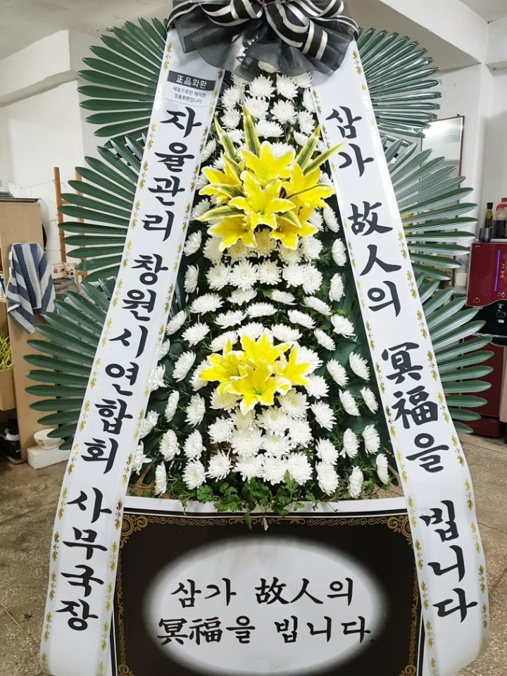 뺴ʽ...